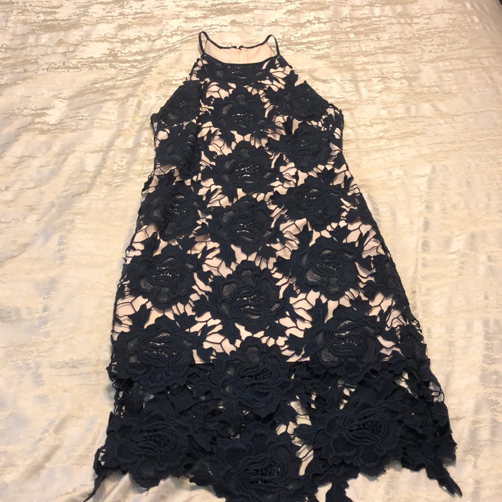 Navy Blue and Nude Lace Sheath Dress